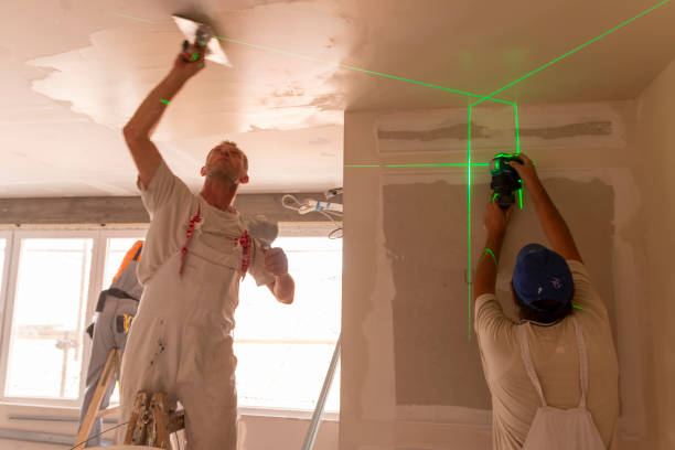 Best Ceiling Drywall Installation  in Albany, GA